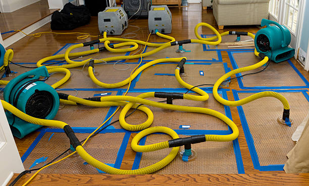 Professional Basement Flood Cleanup technician working in Piedmont, SC